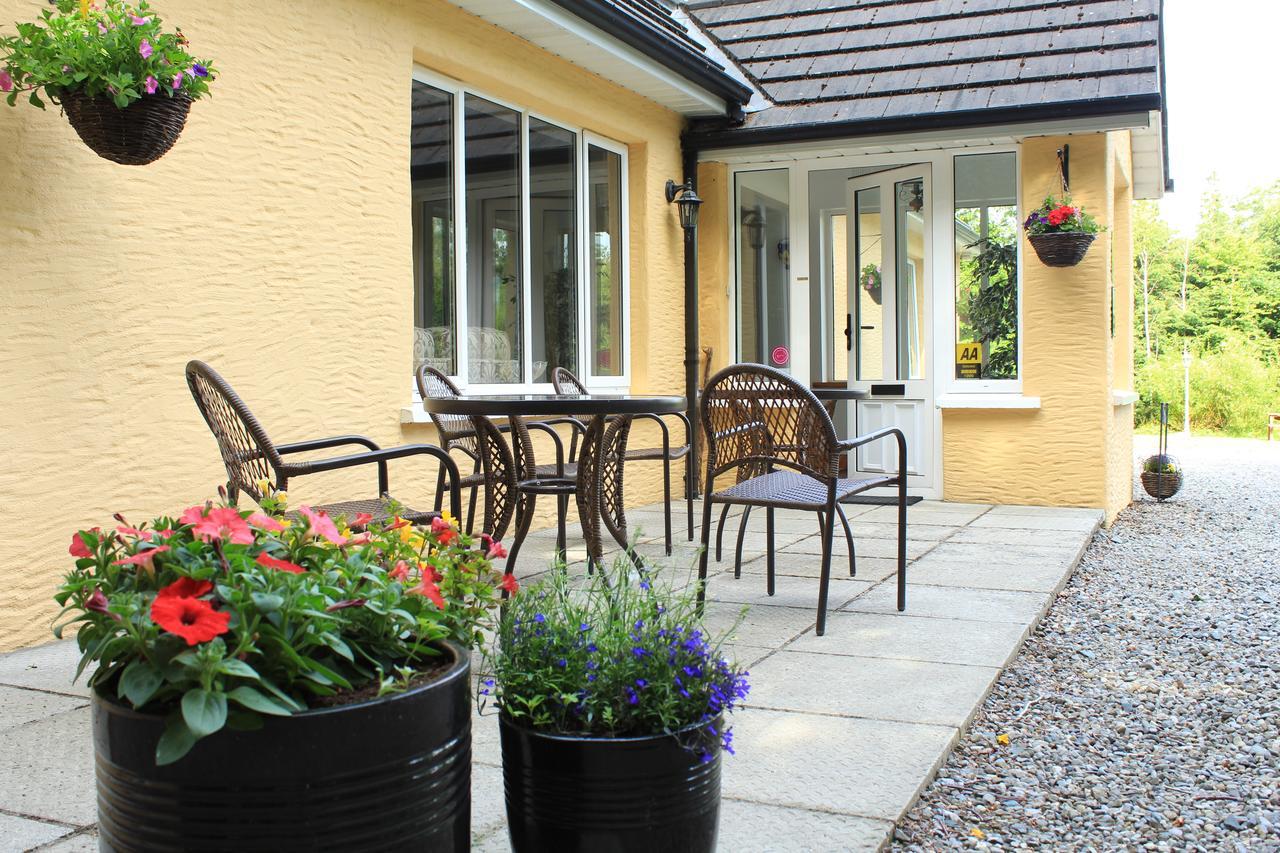 Pinewood Lodge Laragh Exterior foto